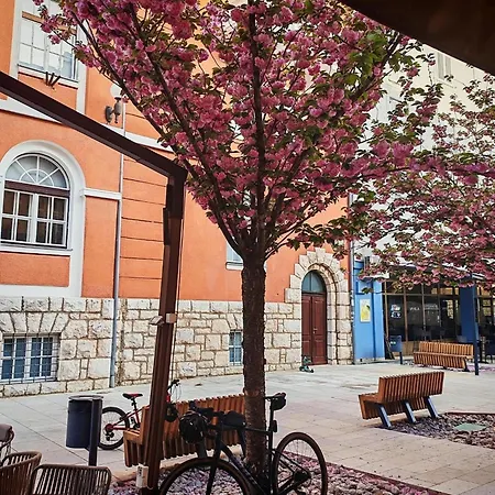Hideaway With Sea View And Private Pool Vikendica Crikvenica